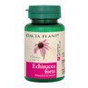 Echinacea forte, 60 tablets, Dacia Plant