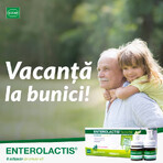 Enterolactis oral, 12 vials, Sofar Enterolactis oral, 12 vials, Sofar