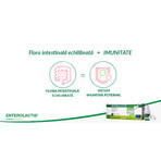 Enterolactis oral, 12 vials, Sofar Enterolactis oral, 12 vials, Sofar