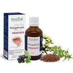 Polygemma 27 Prostate, 50ml, Plant Extrakt Polygemma 27 Prostate, 50ml, Plant Extrakt