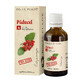 Estratto naturale di biancospino senza alcool, 50 ml, pianta di Dacia