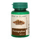 Pharyngoplant, 60 tablets, Dacia Plant