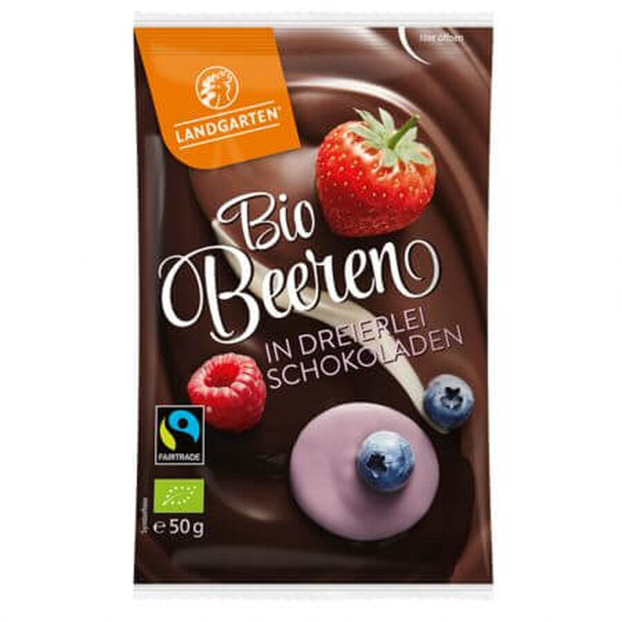 Berries in organic chocolate mix, 50g, Landgarten