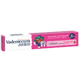Junior strawberry-flavoured toothpaste, 6 years+, 75 ml, Vademecum