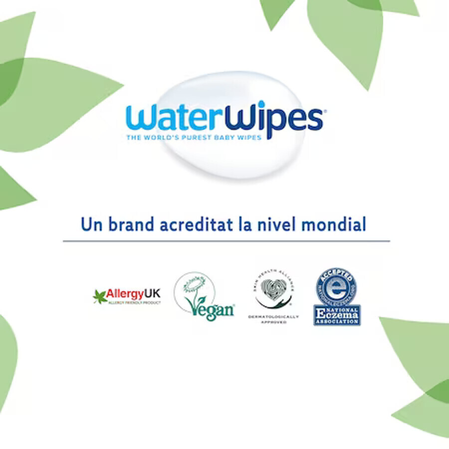 Toallitas húmedas WaterWipes Soapberry, 12 paquetes x 60 unidades, 720 unidades Toallitas húmedas WaterWipes Soapberry, 12 paquetes x 60 unidades, 720 unidades