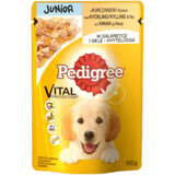 Pedigree Wet food junior dog with chicken and rice, 100 g
