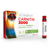 Stoffwechselbeschleuniger Carnitin 3000 mg, 14 Fläschchen, Marnys