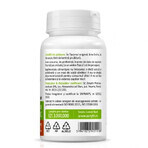 Ganoderma Reishi Bio, 60 capsules, Zenyth Ganoderma Reishi Bio, 60 capsules, Zenyth