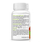 Ganoderma Reishi Bio, 60 capsules, Zenyth Ganoderma Reishi Bio, 60 capsules, Zenyth