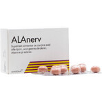 Alanerv package, 100 (5 x 20) soft capsules, Alfasigma Alanerv package, 100 (5 x 20) soft capsules, Alfasigma