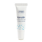 Lanolin for lips Lip Care, 10 g, Ziaja Lanolin for lips Lip Care, 10 g, Ziaja