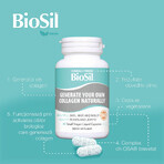 Advanced Collagen Generator, 60 capsules, Biosil Advanced Collagen Generator, 60 capsules, Biosil