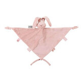 Plus maxi for pacifier, Pink, Nattou