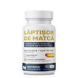 Lǎptișor de matcǎ, 60 capsule moi, Nutrific