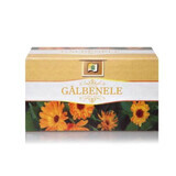 Goudsbloem thee, 20 builtjes, Stef Mar