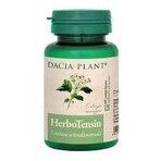 HerboTensin (Blood Pressure Regulator), 60 + 60 tablets (2 for the price of 1), Dacia Plant HerboTensin (Blood Pressure Regulator), 60 + 60 tablets (2 for the price of 1), Dacia Plant