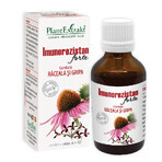 Imunorezistan Forte, 50 ml, Plant Extrakt Imunorezistan Forte, 50 ml, Plant Extrakt