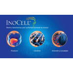 InoCell 500 mg, 60 capsules, Good Days Therapy InoCell 500 mg, 60 capsules, Good Days Therapy