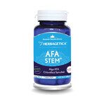 Afa Stem, 60 capsules, Herbagetica Afa Stem, 60 capsules, Herbagetica