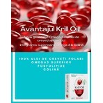 Krill Oil, 90 capsules, Rotta Natura Krill Oil, 90 capsules, Rotta Natura