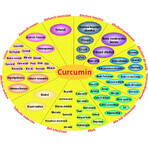 Lipozomaal Curcumine 95%, 60 plantaardige capsules, Hypernatura