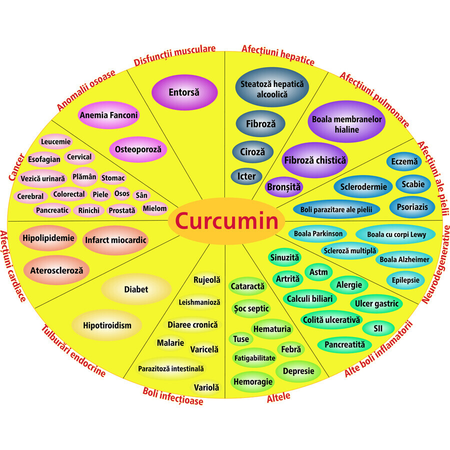 Lipozomaal Curcumine 95%, 60 plantaardige capsules, Hypernatura