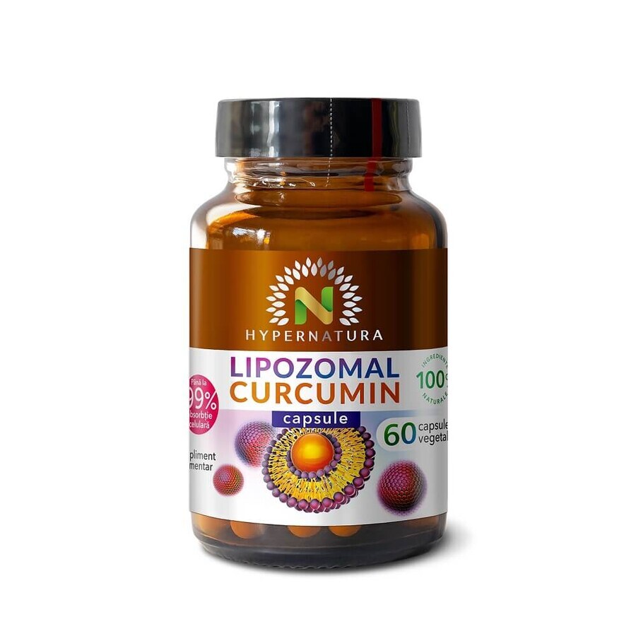 Lipozomaal Curcumine 95%, 60 plantaardige capsules, Hypernatura
