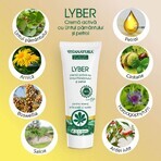 Lyber active cream with Peat Butter and Oil, 250 ml, Vivanatura Lyber active cream with Peat Butter and Oil, 250 ml, Vivanatura