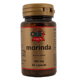 Morinda 400 mg, 60 capsules, Obire