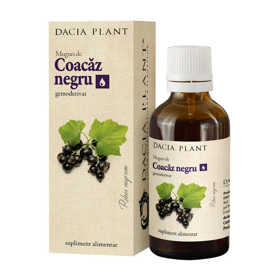 Blackcurrant buds, 50 ml, Dacia Plant
