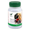 Opuntia, Chitosan and Fibrulline, 60 capsules, Pro Natura