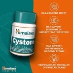 Cystone Package, 60 + 60 tablets, Himalaya (10% discount) Cystone Package, 60 + 60 tablets, Himalaya (10% discount)