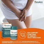 Cystone Package, 60 + 60 tablets, Himalaya (10% discount) Cystone Package, 60 + 60 tablets, Himalaya (10% discount)