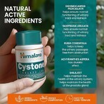 Cystone Package, 60 + 60 tablets, Himalaya (10% discount) Cystone Package, 60 + 60 tablets, Himalaya (10% discount)