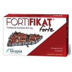 Package Fortifikat Forte 825 mg, 30+30 capsules, Therapy Package Fortifikat Forte 825 mg, 30+30 capsules, Therapy