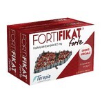 Package Fortifikat Forte 825 mg, 30+30 capsules, Therapy Package Fortifikat Forte 825 mg, 30+30 capsules, Therapy