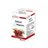 Hawthorn &amp;amp; Magnesium, 30 capsules, FarmaClass