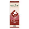 Antialcool Plant, 30 ml, Plant Extrakt