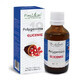 Polygemma 19 Glicemia, 50 ml, Estratto Vegetale