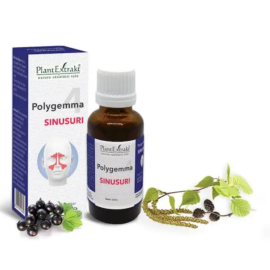 Polygemma 4, Sinuses, 30 ml, Plant Extrakt