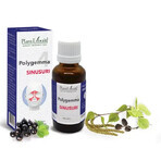 Polygemma 4, Sinuses, 30 ml, Plant Extrakt Polygemma 4, Sinuses, 30 ml, Plant Extrakt