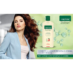 Gerovital Expert Treatment Anti-Hair Loss Shampoo, 250 ml, Farmec Gerovital Expert Treatment Anti-Hair Loss Shampoo, 250 ml, Farmec