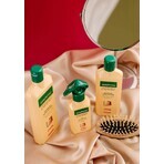 Gerovital Expert Treatment Anti-Hair Loss Shampoo, 250 ml, Farmec Gerovital Expert Treatment Anti-Hair Loss Shampoo, 250 ml, Farmec
