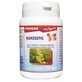 Sesame, 70 capsules, Favisan