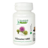 Silymarin 14000, 60 tablets, Dacia Plant
