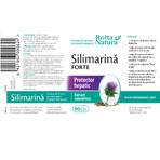 Silimarină Forte, 90 capsules, Rotta Natura Silimarină Forte, 90 capsules, Rotta Natura