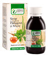 Syrup with Rosehip and Honey extract, 100 ml, Adya Green Pharma
