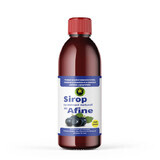 Sugar-free Blueberry Syrup, 500ml, Hypericum