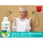 Spirulina Bio 1000 mg, 30 tablets, Rotta Natura Spirulina Bio 1000 mg, 30 tablets, Rotta Natura