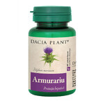 Armourariu, 60 tablets, 1+1, Dacia Plant